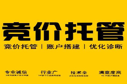 行业领先企业的sem竞价托管经验分享与案例解析